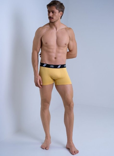 01 cueca boxer masculino microfibra amarelo polen