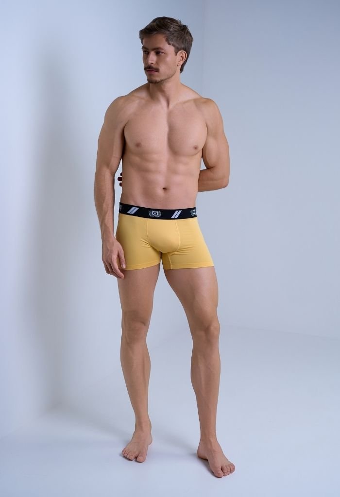 01 cueca boxer masculino microfibra amarelo polen