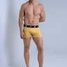 01 cueca boxer masculino microfibra amarelo polen
