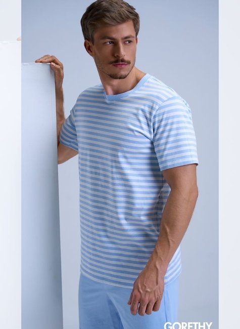 01 pijama gorthan ethan masculino azul