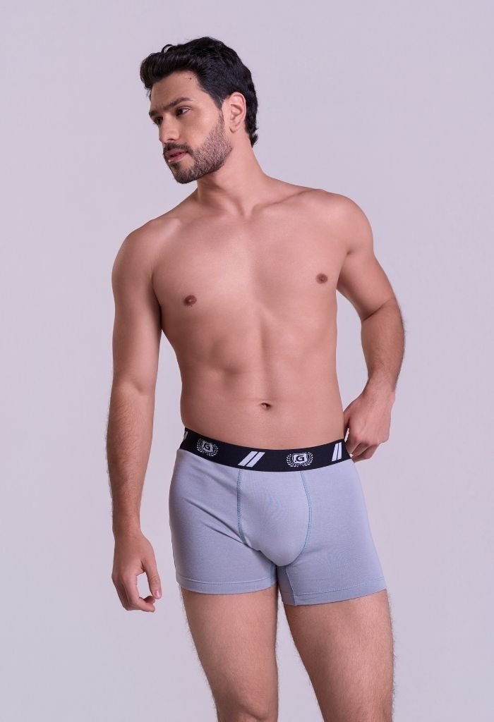 41433-cinza-7 Cueca Boxer Masculina em Coton Cinza Gorthan - Plano Médio Frontal